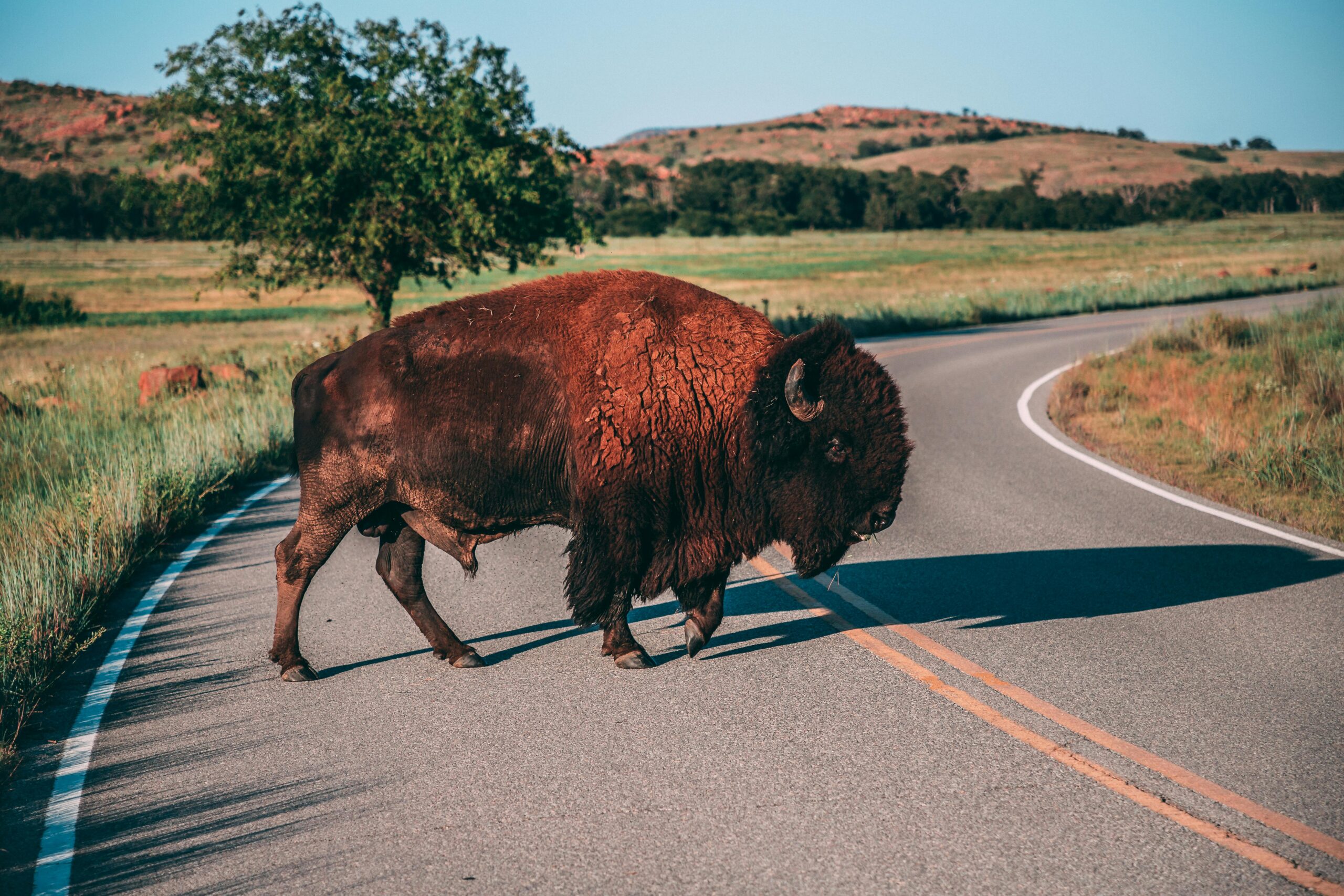 Issues—Mitchell Jacob stands for tribal sovereignty - Mitchell Jacob for OK House 2024 - https://mitchelljacob.com